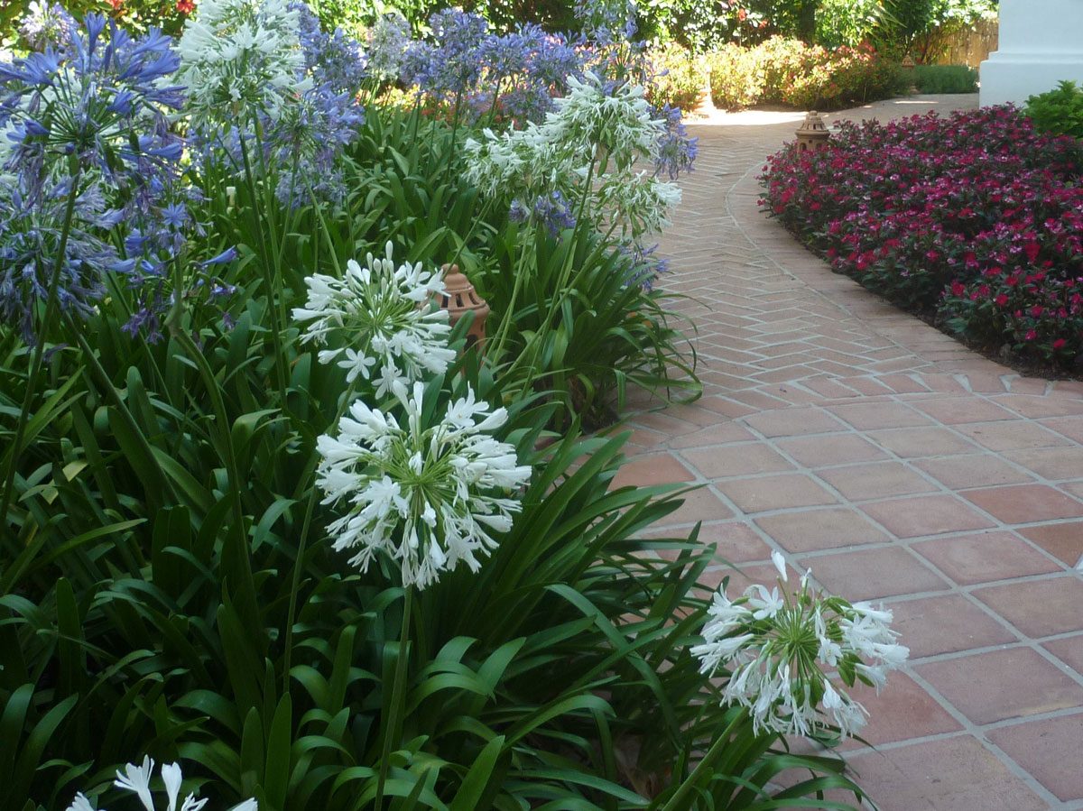 Jardinería