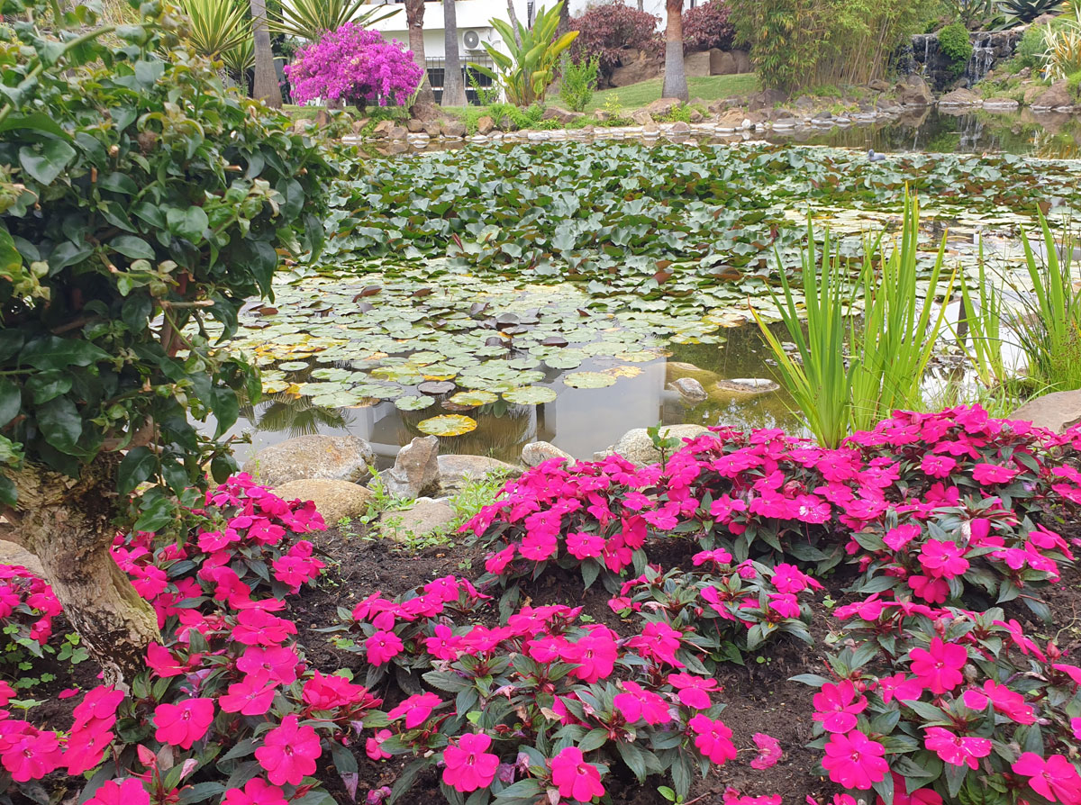 Mantenimiento de Jardín