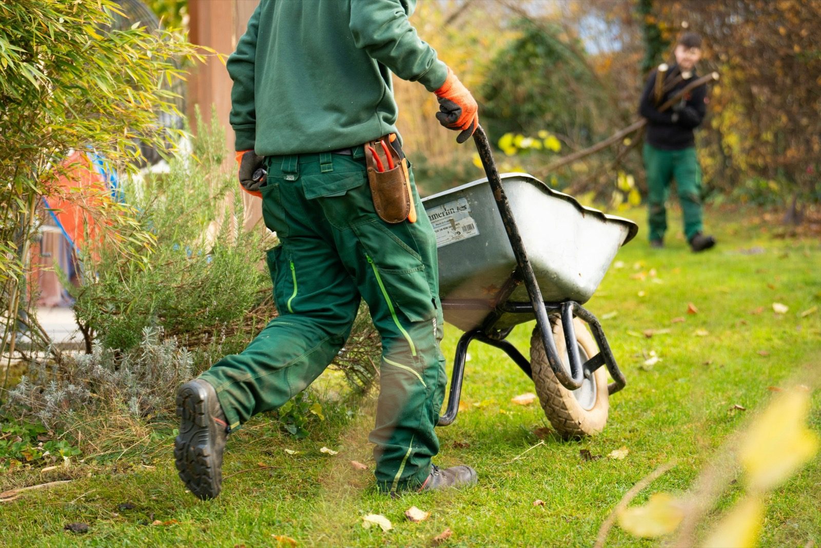 Jardinería profesionaly zonas verdes